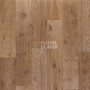 Линолеум Tarkett Discovery Dublin 2 фото 1 | FLOORDEALER